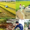 Thành lập Ban Chỉ đạo Trung ương các chương trình mục tiêu quốc gia giai đoạn 2021 – 2025