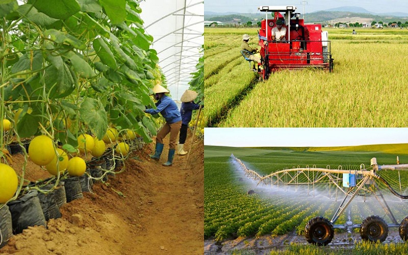 Đảm bảo thông suốt phân cấp, phân quyền thủ tục hành chính trong lĩnh vực nông nghiệp và môi trường.